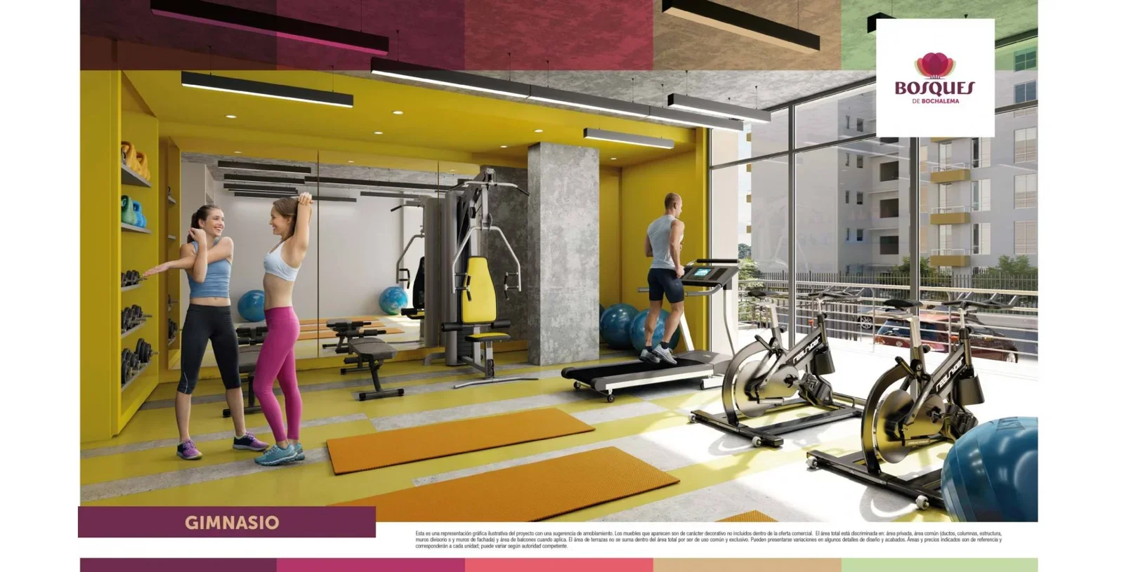 Gimnasio y Recreación